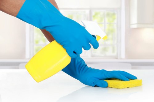 Daily regular cleaning tasks in a modern kitchen