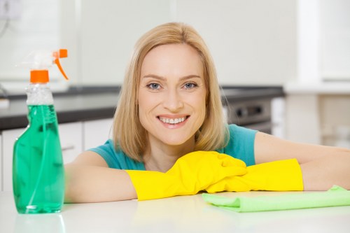 Airbnb cleaning supplies arranged for a rental property