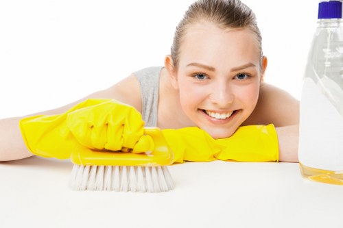 Professional oven cleaning service in Swiss Cottage kitchen