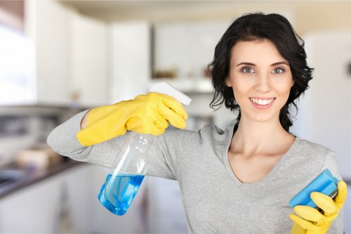 Kitchen and bathroom domestic cleaning routine