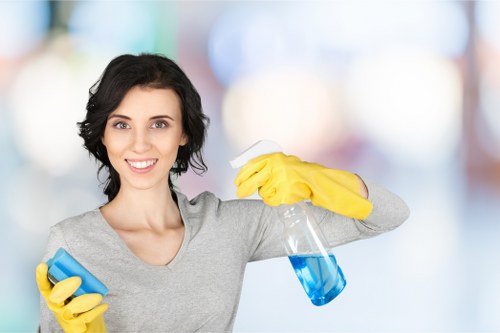 Professional cleaning tools used for move out cleaning