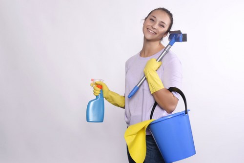 Deep one off cleaning of kitchen surfaces and appliances