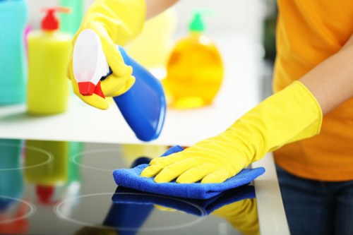 Professional cleaner performing one off cleaning in an office