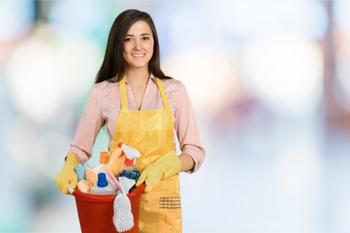 Deep move in cleaning of a kitchen before unpacking